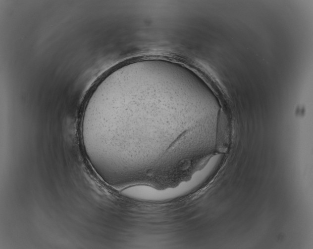 X0000088901260200707061446