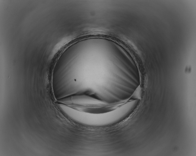 X0000088901261200707061446