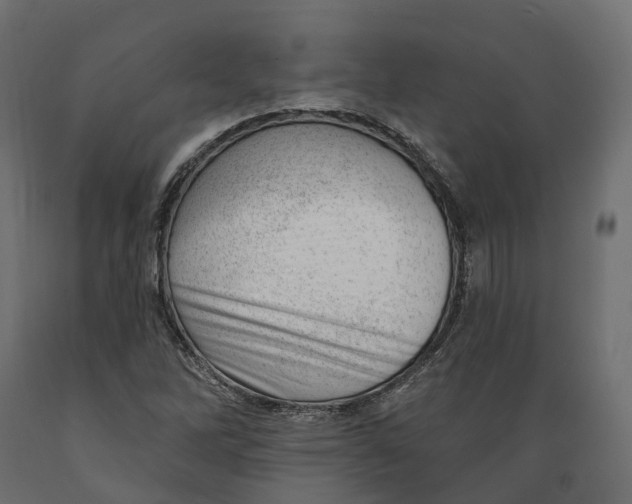 X0000088901262200707061446