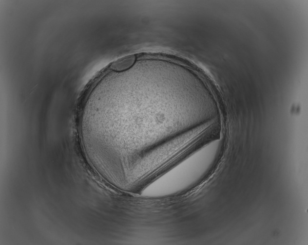 X0000088901263200707061446