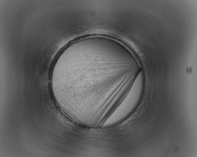 X0000088901264200707061446