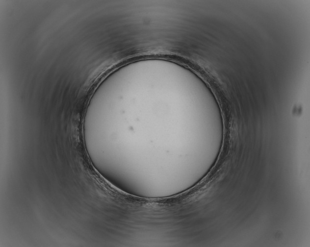 X0000088901265200707061446