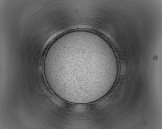 X0000088901266200707061446