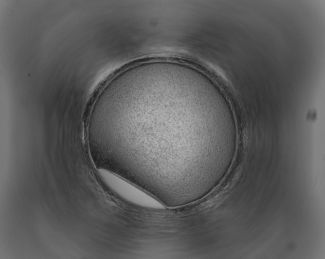 X0000088901267200707061446