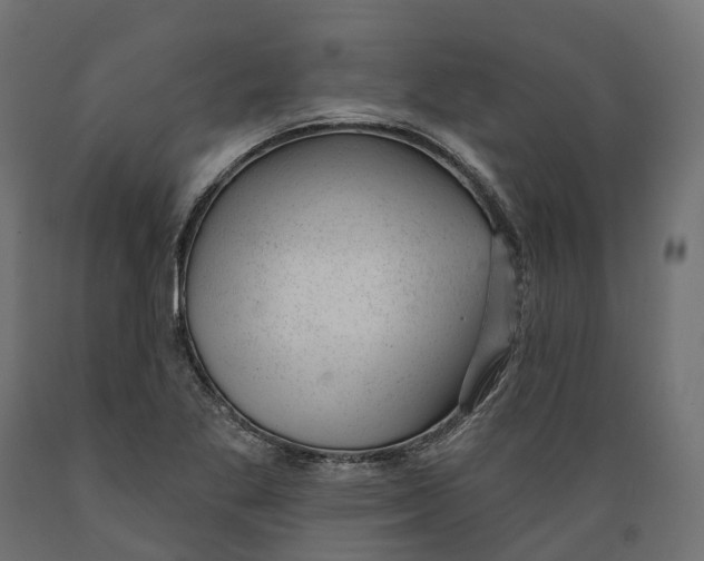 X0000088901269200707061446