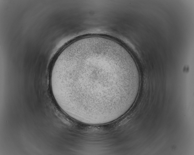 X0000088901270200707061446