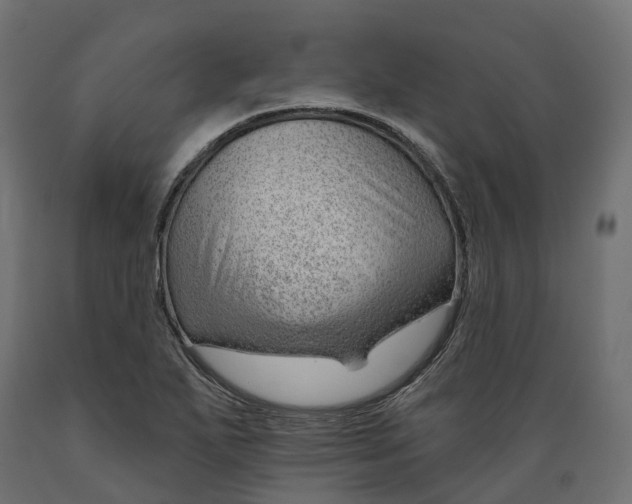 X0000088901271200707061446