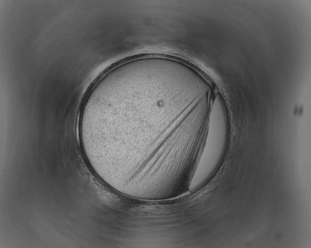 X0000088901272200707061446