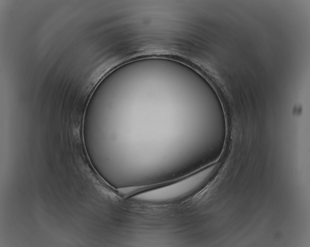 X0000088901273200707061446