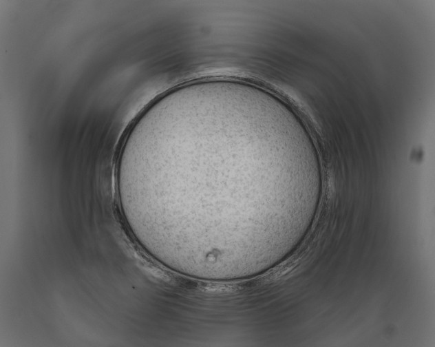 X0000088901274200707061446