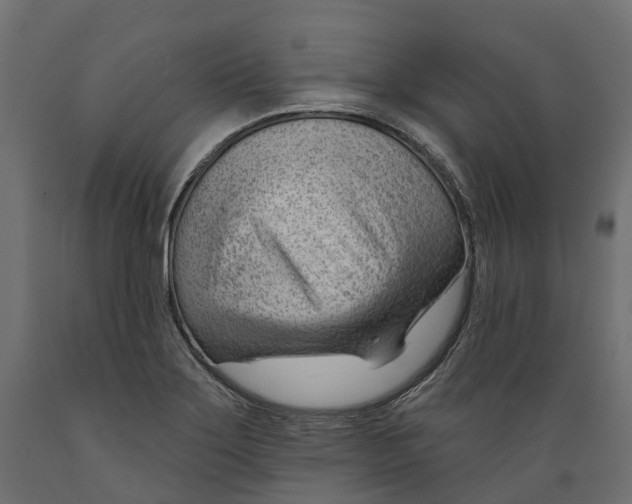 X0000088901275200707061446