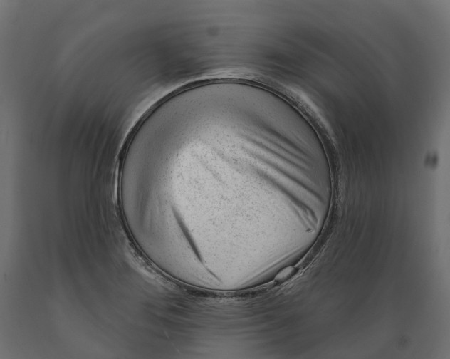 X0000088901276200707061446