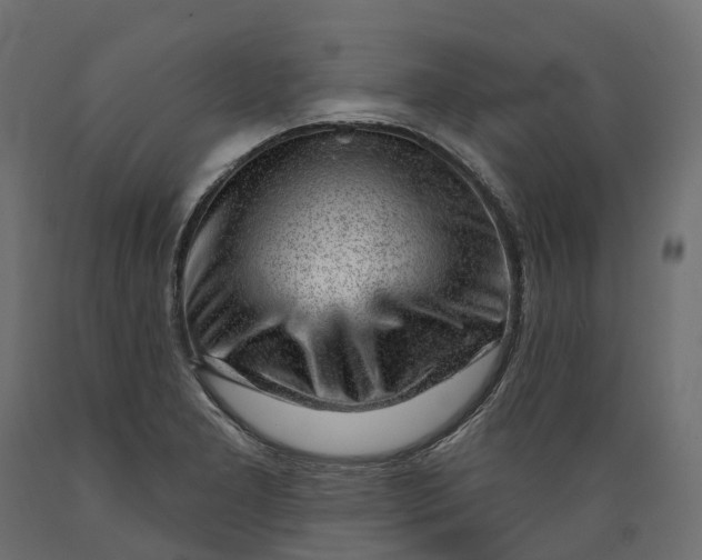 X0000088901277200707061446