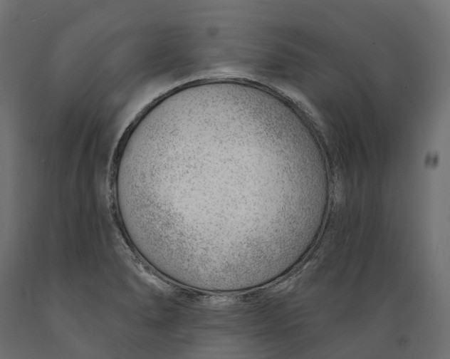 X0000088901278200707061446