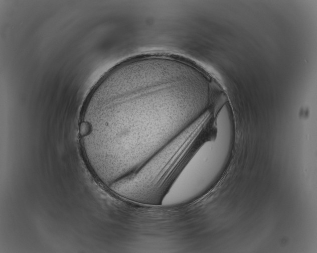 X0000088901279200707061446