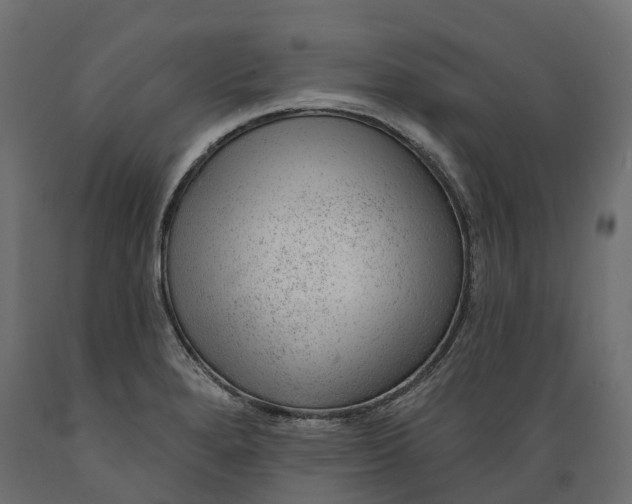 X0000088901280200707061446