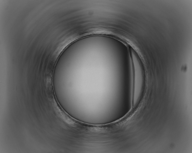 X0000088901281200707061446