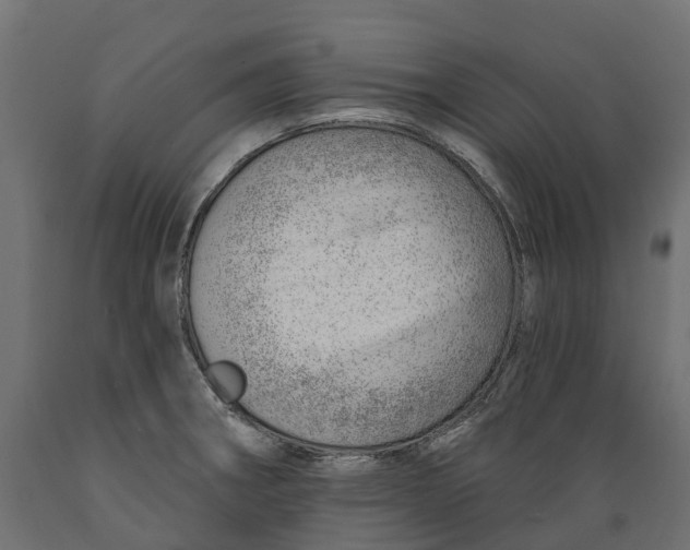 X0000088901282200707061446