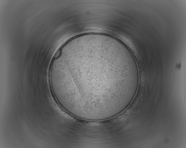 X0000088901283200707061446