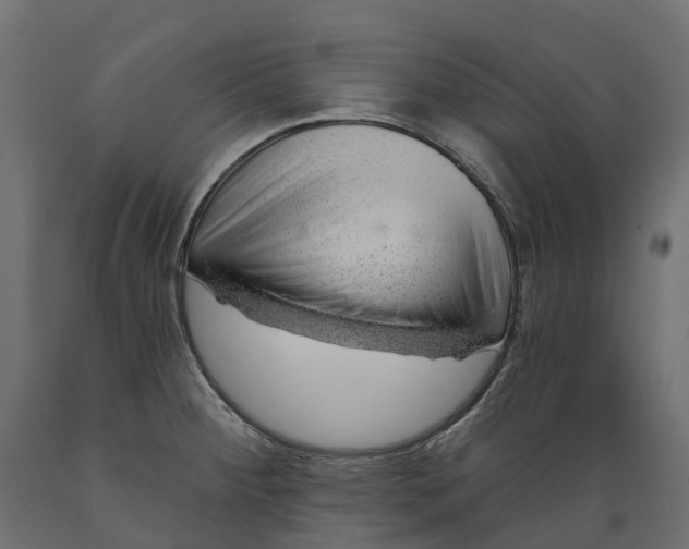 X0000088901284200707061446