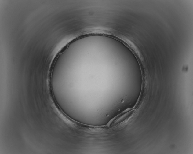 X0000088901285200707061446