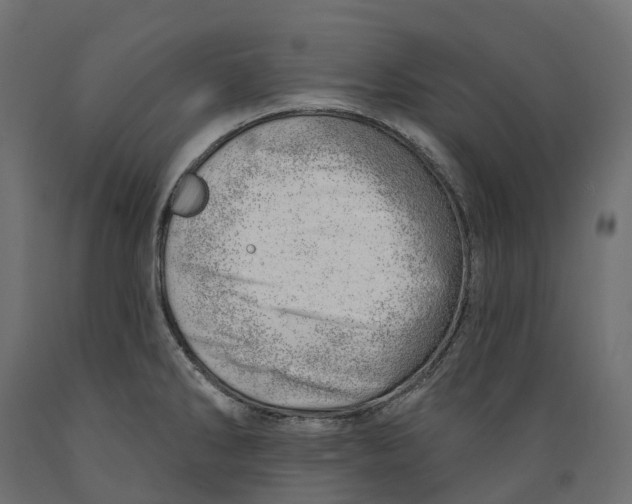 X0000088901286200707061446