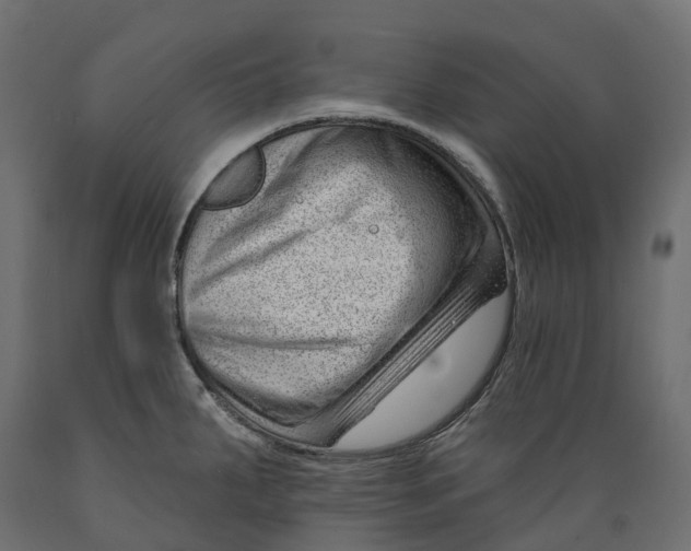 X0000088901287200707061446