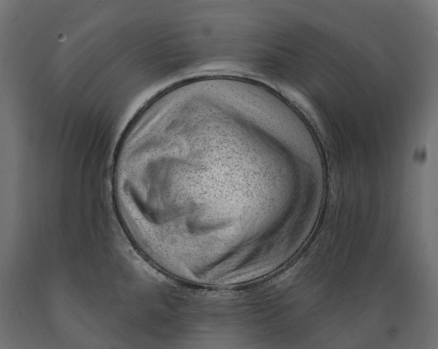 X0000088901288200707061446