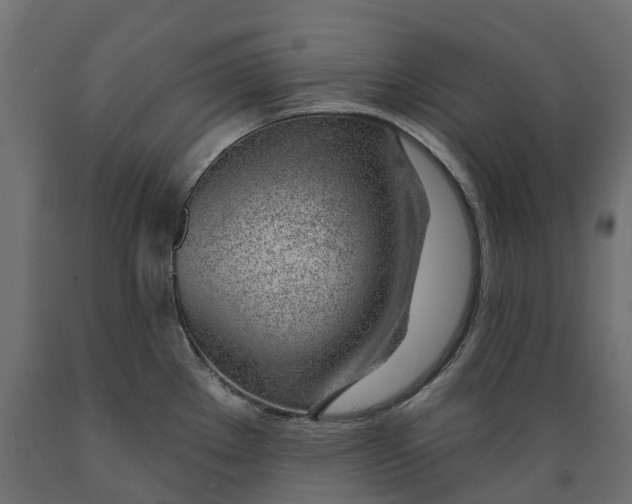 X0000088901289200707061446