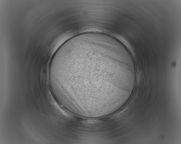 X0000088901290200707061446