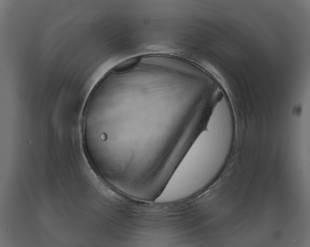 X0000088901291200707061446