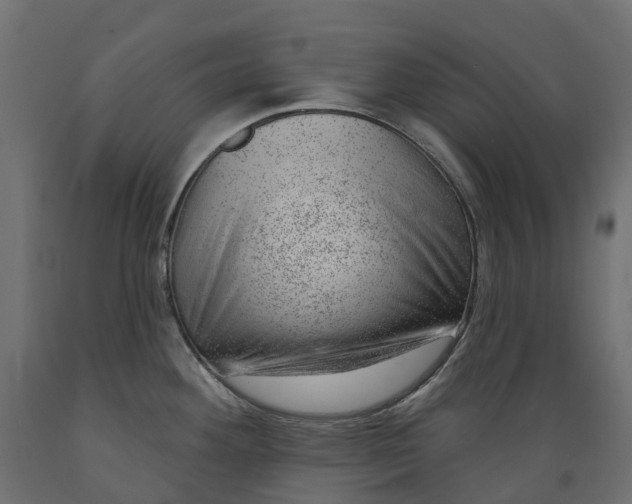 X0000088901292200707061446