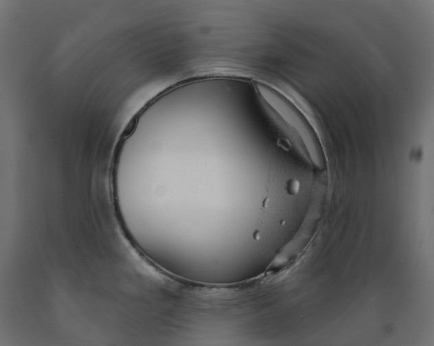 X0000088901293200707061446