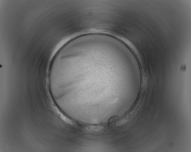 X0000088901294200707061446