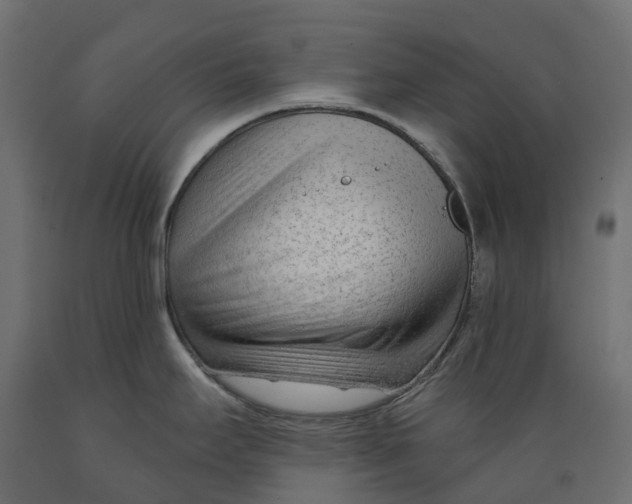 X0000088901295200707061446