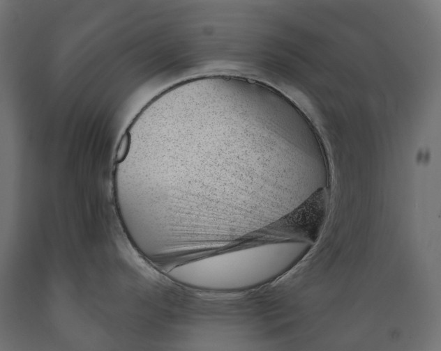 X0000088901296200707061446