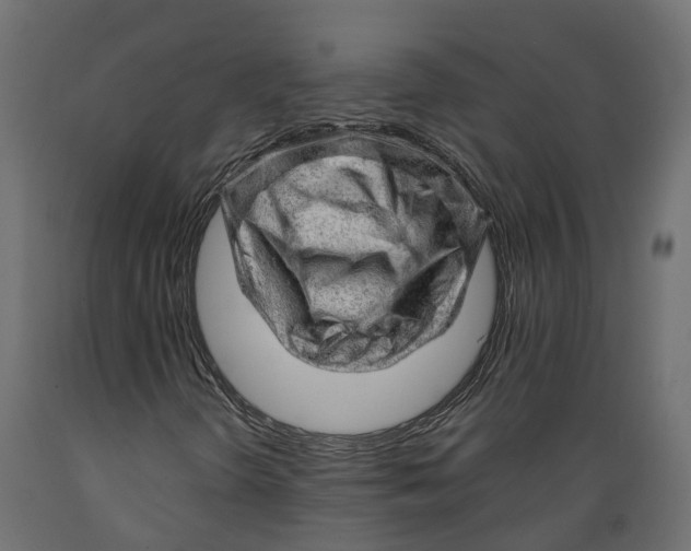 X0000088901298200707061445