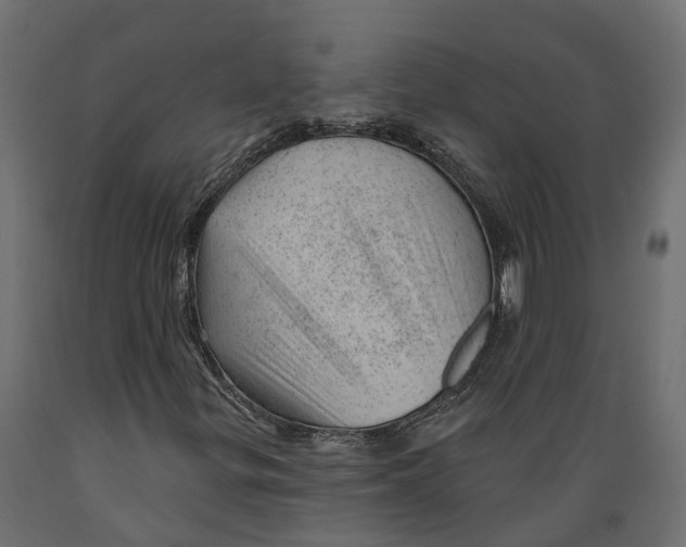 X0000088901299200707061445