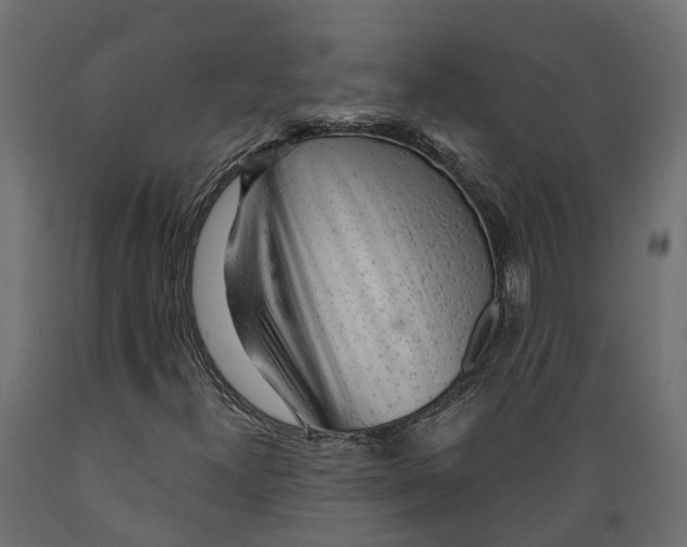 X0000088901300200707061445