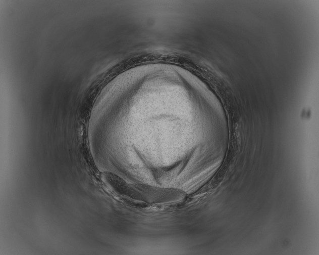 X0000088901302200707061445