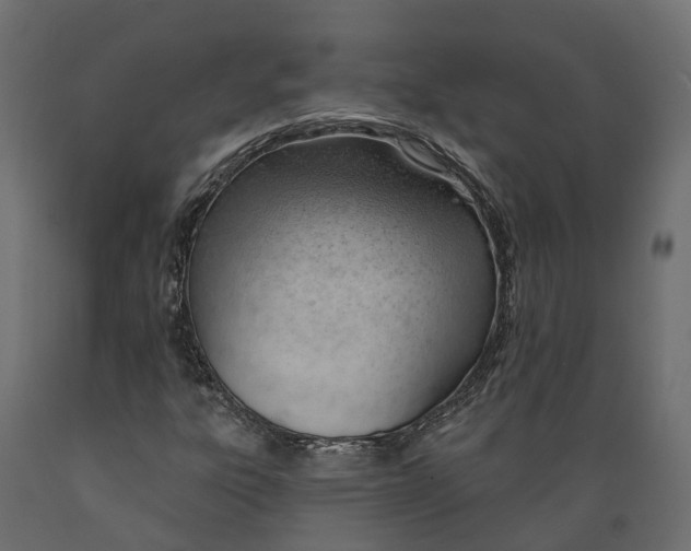 X0000088901303200707061445