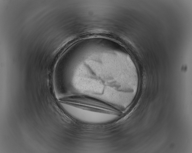 X0000088901305200707061445