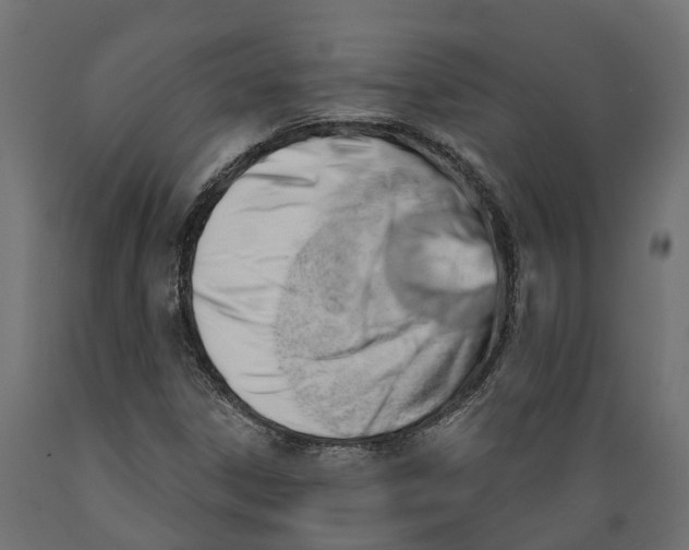 X0000088901306200707061445