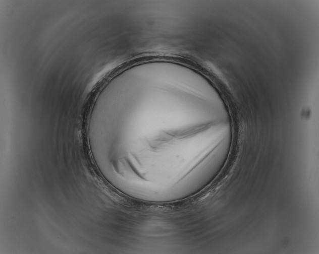 X0000088901307200707061445