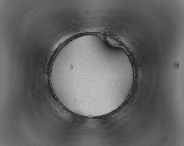 X0000088901308200707061445