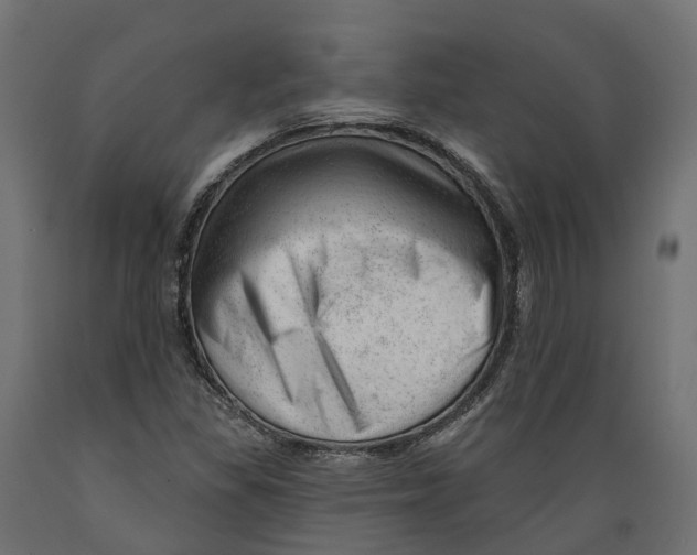 X0000088901309200707061445