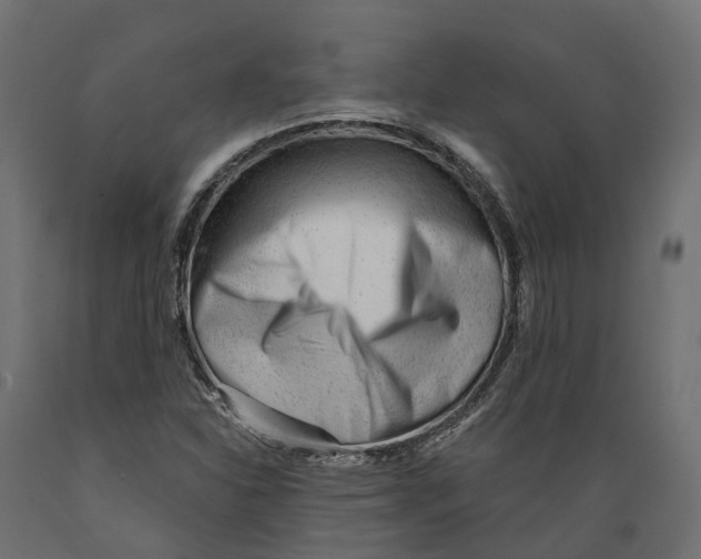 X0000088901310200707061445