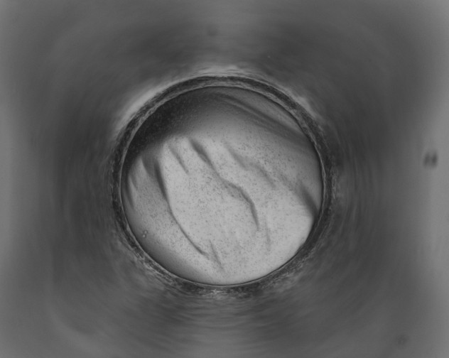 X0000088901311200707061445