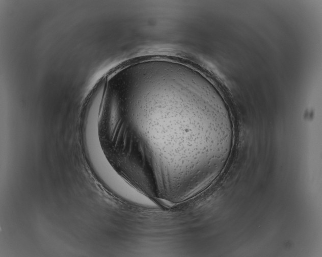 X0000088901312200707061445