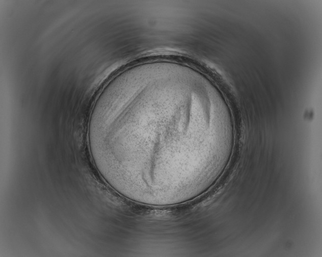 X0000088901313200707061445